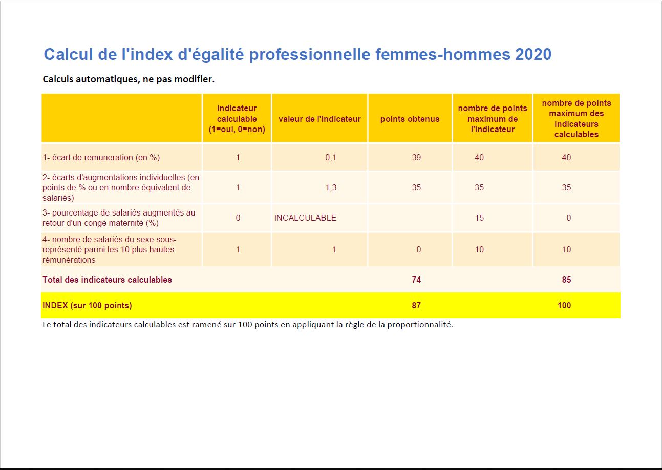 Index d'égalité professionnelle femmes-hommes 2020 de Sogitec